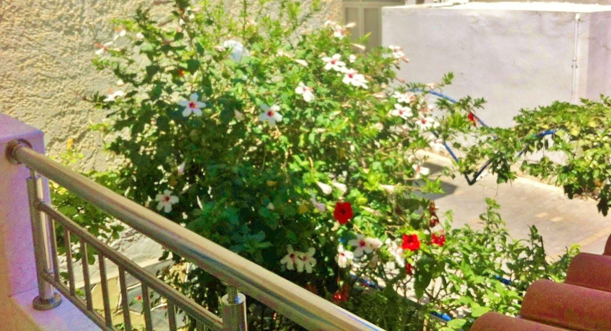 Apollonia Apartments Agia Pelagia  Buitenkant foto