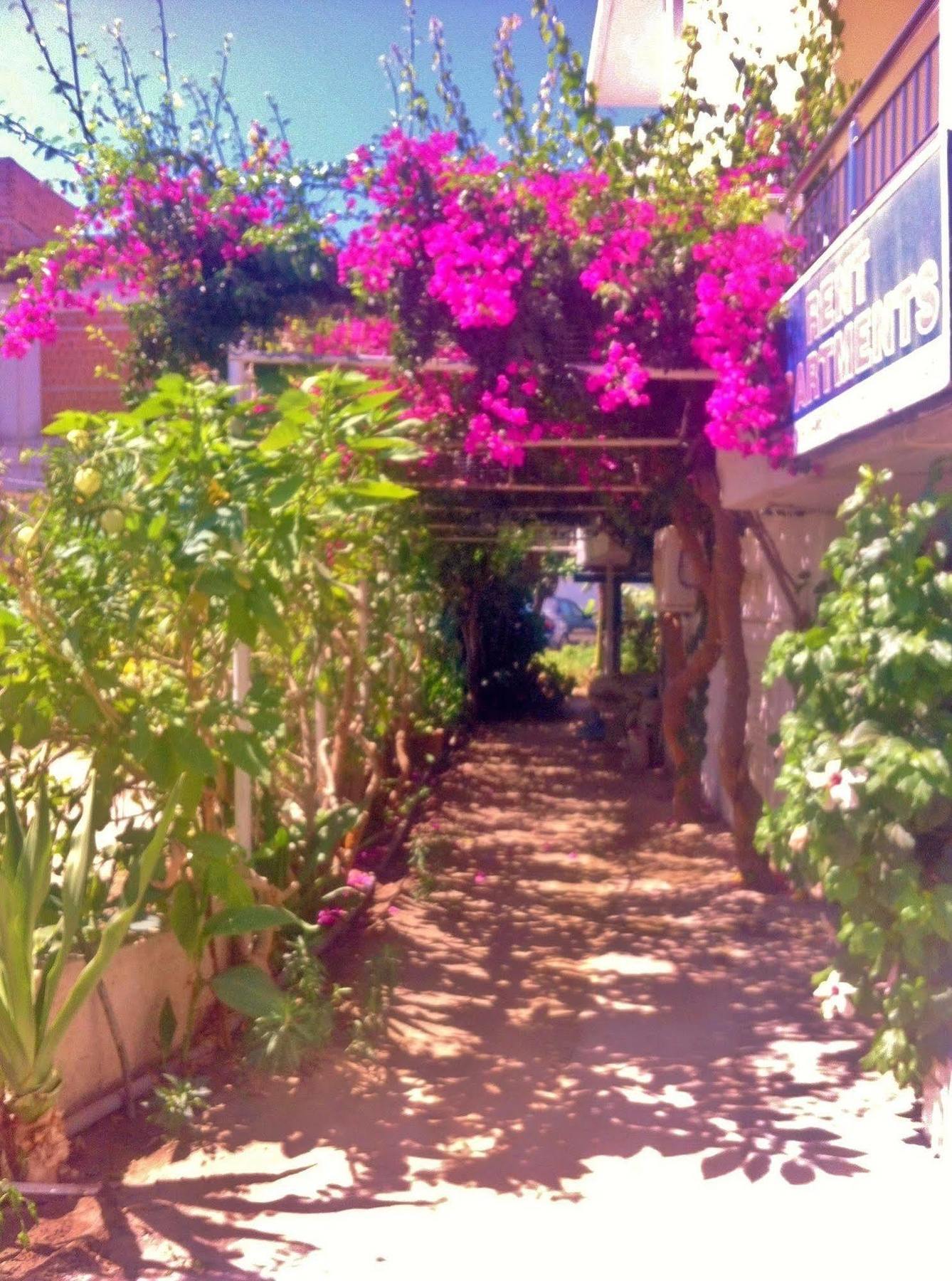 Apollonia Apartments Agia Pelagia  Buitenkant foto